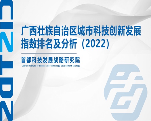 啊啊啊日逼视频【成果发布】广西壮族自治区城市科技创新发展指数排名及分析（2022）